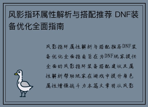 风影指环属性解析与搭配推荐 DNF装备优化全面指南